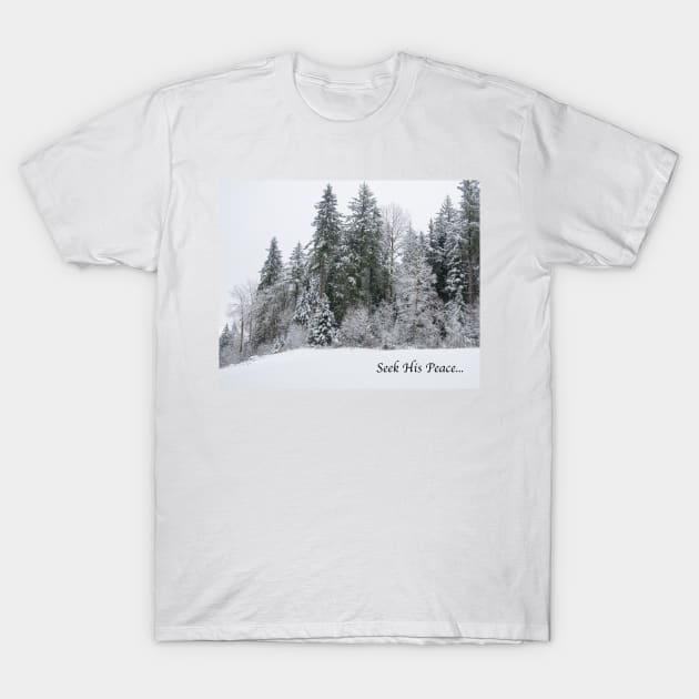 Winter Peace T-Shirt by KirtTisdale